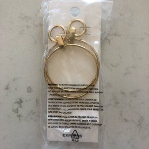 Express hoop earrings